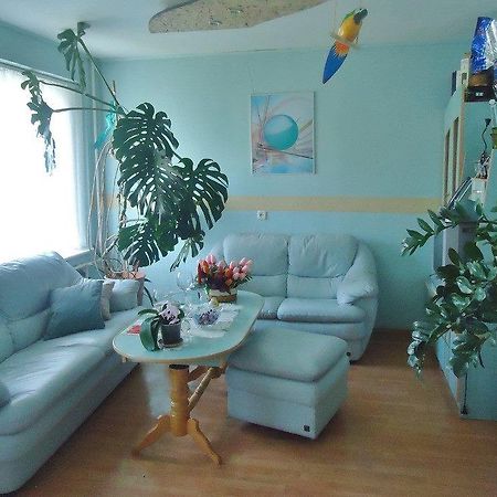 Puikus Apartamentai Алитус Экстерьер фото