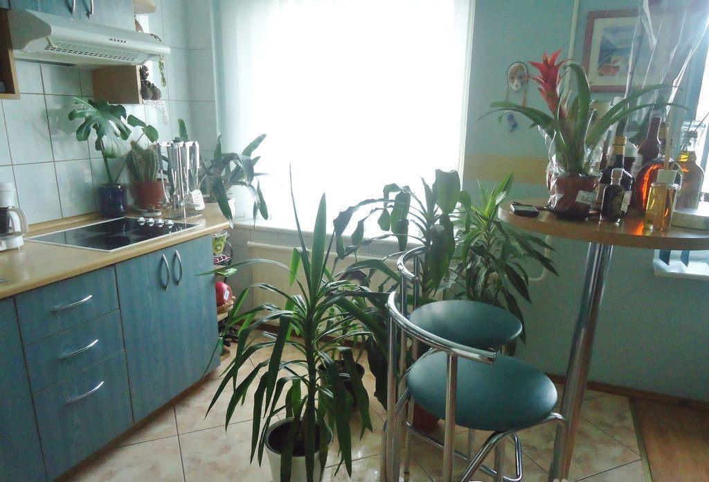 Puikus Apartamentai Алитус Экстерьер фото